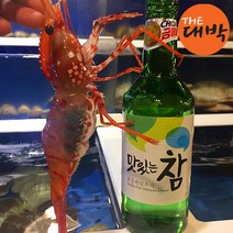 더대박 살아있는 활 독도도화새우 1kg 독도새우, 1box, 활 독도도화새우(대) 1kg