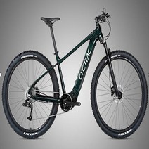 MTB 산악 자전거 산악자전거 입문용 가성비 29 인치 트위터 알루미늄 합금 EM5 36V250W Bafang, DarkGreen+RS10