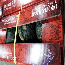 [맘스허브] 단호박1박스(10kg)특가판매 뉴질랜드산, 1박스, 10kg