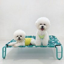 유앤펫 강아지 고양이 슬립 스탠드 해먹S(null), 오렌지