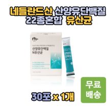 네들란드산 고단백 산양유단백질 분말 프락토올리고당 22종 혼합유산균 30포 가세리 엘아르지닌 치커리분말 스틱형 아이 어린이 키즈 10대 학생 수험생 20대