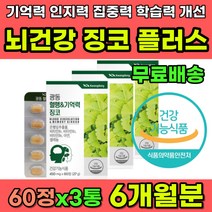 40대 50대 60대 뇌건강 뇌에좋은 영양제 은행잎추출물 징코 기억력 집중력 인지능력 학습능력 두뇌건강 뇌영양제 추천 식약처인증 징코플러스 징코빌로바 은행추출물 은행잎효능