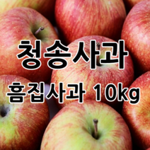 [산지직송] 청송사과 10kg 실속 사과 농부네 부부농장, 1박스, 01.실속 흠집사과10kg 꼬마과 (47과~65과내외)