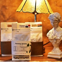 커피트리쥔장 파나마 게이샤 원두 커피 (세계 4대커피), 100g, 더치커피