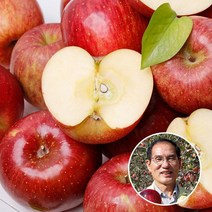 [맛딜]아삭달콤한 거창 꿀사과 2.5kg소과13-15과 내외, 없음