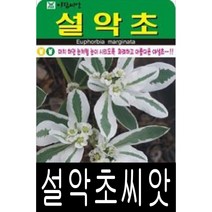 [워터트리몰] 설악초 씨앗(30립) 채소 꽃 종자 재배 씨앗 허브 나무 (A), 1개