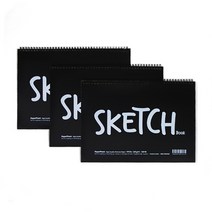생활스쿨 전문가용 스케치북, 30매, A3