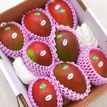 탱글탱글 과육 애플망고 달콤 향긋 망고 브라질 애플망고, 2.5kg 내외 5개~6개