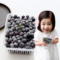 냉동 블루베리 충북 영동 국내산 GAP인증 산지직송 1kg 500g 2팩