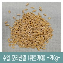 [다온농산] 수입 호라산밀 -2Kg- 품질 좋고 저렴한 튀르키예산, 1개