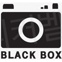 블랙박스 녹화중 스티커 데칼 자동차 차량 더뉴쏘렌토 투싼 SM5 NX4 QM3 쏘나타DN8 포터 k5 캐스퍼 컨트리맨 튜닝 K7 올뉴K9 레이 K5DL3 싼타페TM KA4, 옐로우, 색상
