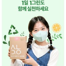 국내산 자외선차단 온가족친환경 마스크 KF94 새부리형 약국판매 특대형 대형 중형 25매, 민트