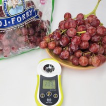진성비엔씨(FRESH) [맛딜](무료배송)껍질째 먹는 씨없는 크림슨 적포도 2kg, 단품없음