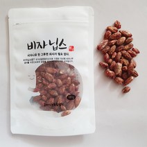 비자닙스 비자나무열매 비자열매, 100g