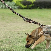 도매창고 애견 전술리드줄 훈련용 밀리터리 목줄 산책줄 산책끈, 애견 전술리드줄-카키