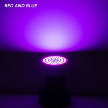식물등 스탠드 e27 led 성장 빛 e14 성장 전구 전체 스펙트럼 gu5.3 식물 램프 gu10 식물 램프 fitolamp 실내 식물 꽃 수경법, 빨간색과 파란색, 80개의 LED