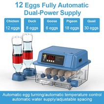 인큐베이터 실험실 파충류 220V 디지털 인공 부화기 12 알 인큐베이터 완전 자동 닭 거위 메추라기 터너 장, 02 12 Eggs_03 220V UK Plug