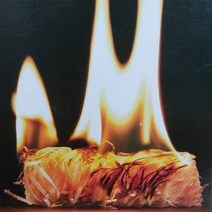 오코펜 천연착화제 1박스당 20-23개 캠핑장작 화목 벽난로 펠렛난로 불쏘시개 펠레비타, 1개