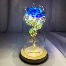 장미 꽃 와이프 생일 선물 결혼기념일 꽃 배달 선물, 홀블루, 에스코어 드림