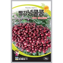 빨강넝쿨콩 씨앗 30g 울타리 밑에서 자라는 콩 세계종묘