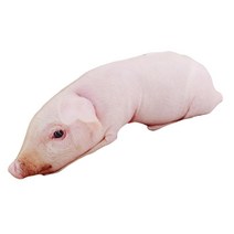 3D 시뮬레이션 귀여운 돼지 박제 동물 인형 장난감 쿠션 룸 장식을위한 작은 플러시 바디 베개 생일, 핑크 50cm, 면