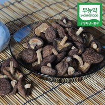 금성농장 무농약인증 생 표고버섯, 통 건표고 100g