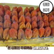 함안곶감 50개 가정용 수시곶감 대용량포장 중 설날선물 빠른배송, 중 50개