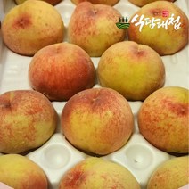 식탐대첩 국내산 딱딱이 복숭아 2kg 7-9과, 없음