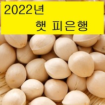 2022년 국내산 햇은행 깐은행 1kg 영양간식 (아이스팩 포장)