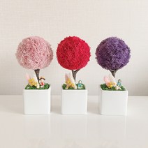 천연 이끼 키우기 그늘에서 잘 자라는 관리쉬운 공기청정 집에서 키우기 쉬운 음지 식물, 에버그린