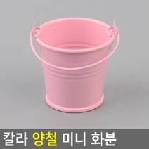 칼라 양철 미니 화분, 핑크