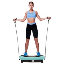 브람스 핏보드 와이드 진동 유산소 운동기