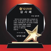 [알리다상패] 감사패 상패 부모님감사패 회사상패 별트로피 SD17-10