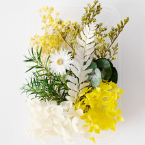 드그라쎄 드라이플라워 모음 박스, 옐로우