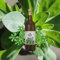국내산 100% 쇠비름 발효액 750ml, 1병(750ml)