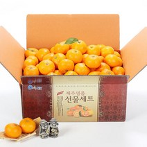 올탑농원 제주 노지감귤 실중량 4.5kg 중대과, 단품