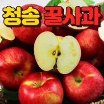청송사과 꿀사과 10kg 5kg 3kg 부사 정품 청송사과, 청송사과10kg(45개내외)