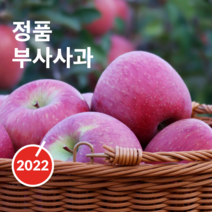아빠와사과밭 경북 봉화 산지직송 꿀 부사사과, 5kg - 15과 (중과)