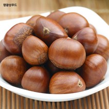 명광성푸드 공주 밤 (특대) 500g, 20kg, 1개