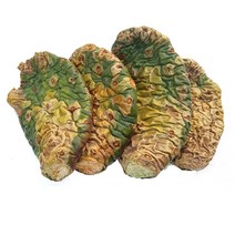 천년초 손바닥 선인장, 1차세척식용2년줄기5kg, 1개