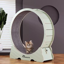 Runcats런캐츠 캣휠 캣타워 캣워크 런닝머신 스크래쳐 고양이 실내 운동훈련 헬스기구 다양한 색상 사이즈 건강항생활을위한 최고의 고양이 선물 XL, 아보카도 그린