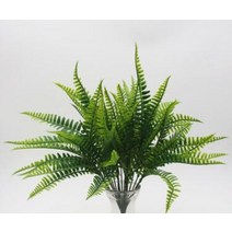 이오난사 디시디아 틸란드시아 원예도구 식물 공기정화식물 공중식물 야외식물 yo cho plante artificielle 7 forks imitation plastic fake, 10 보시카오