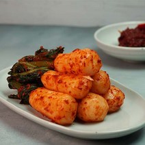 무지개 국내산 알타리총각김치 5KG
