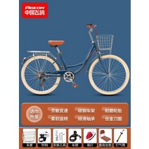 여성용 자전거 클래식 하이브리드바이크, 6단, 26인치, 씨블루 - 보조의자SF