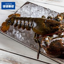 고씨네 냉동랍스타 450g 랍스터 자숙랍스터 킹크랩, 단품