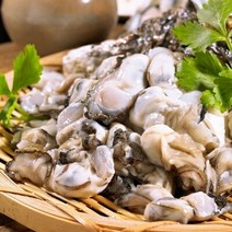 [요리하는남자들] 통영 생굴 깐굴 1kg 삼배체 하프셀 하프쉘 1단 7미 삼배체 석화 굴 석굴 각굴 2kg, 입망석화 1kg 10미 내외