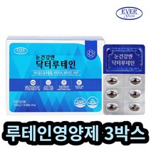 에버그린 눈 점막 건강 닥터 루테인 영양제 90c 3박스 할머니 할아버지 눈영양제 눈좋아지는법 시력 보조제