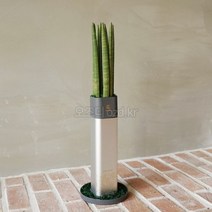 오즈디 꽃 화분소화기 명절 스승의날 선물 화병 꽃병 화초 축하용품, 실버컬러-스투키(생화)