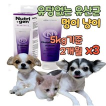 유당불내증 고양이 강아지 장건강 장 유산균 프로 바이오틱스 비피더스 펫 반려동물 대형견 100억마리 고농축 리얼 설사 변비 유당없는 소화장애 배변활동 항산화 면역력 영양제 보조제, 3개
