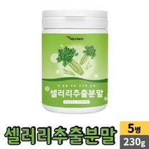 에너데이 셀러리 샐러리 추출 분말 가루 파우더 국산 celery powder, 5개, 230g